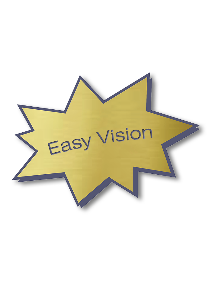 EasyVision.png